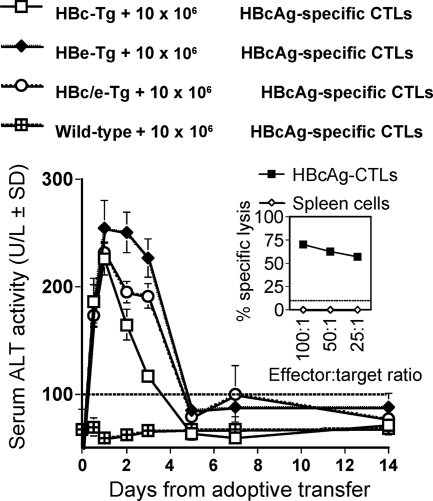 FIG. 11.