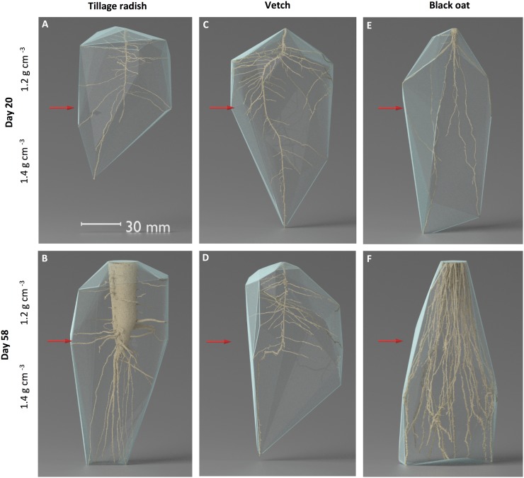 Fig 4