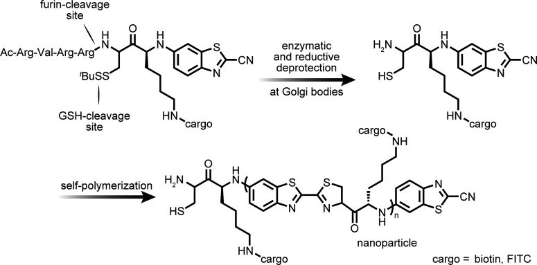 Figure 27