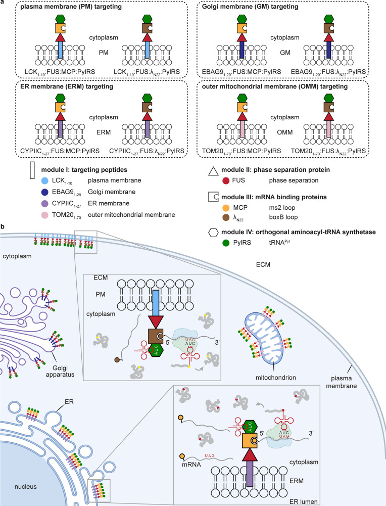 Figure 26