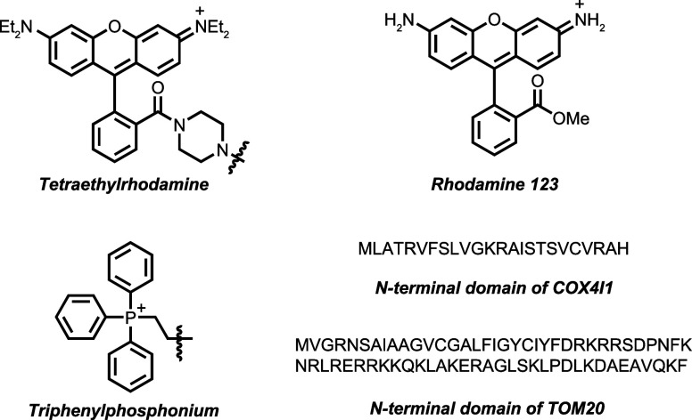 Figure 23