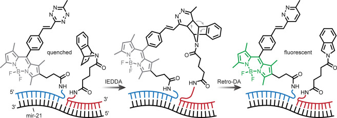 Figure 36