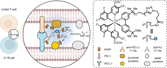 Figure 34