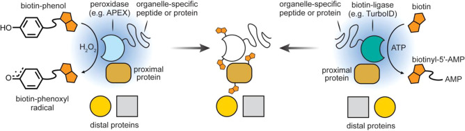 Figure 19