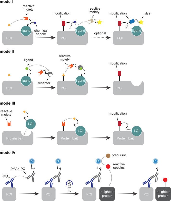 Figure 28