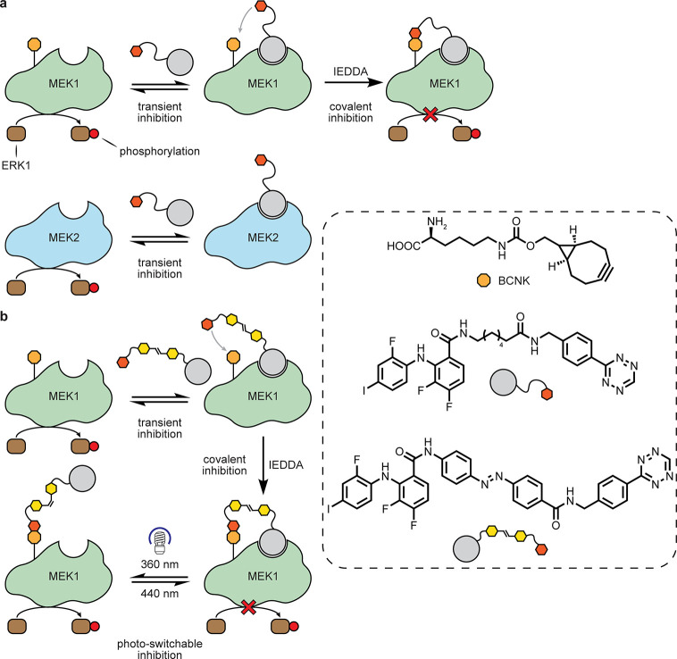 Figure 29