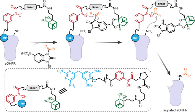 Figure 33