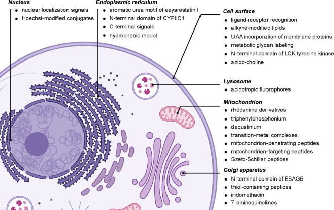 Figure 20