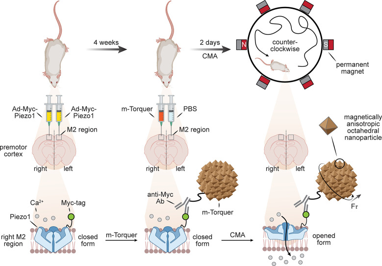 Figure 37