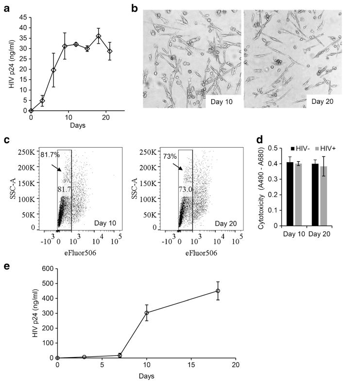 Fig. 7