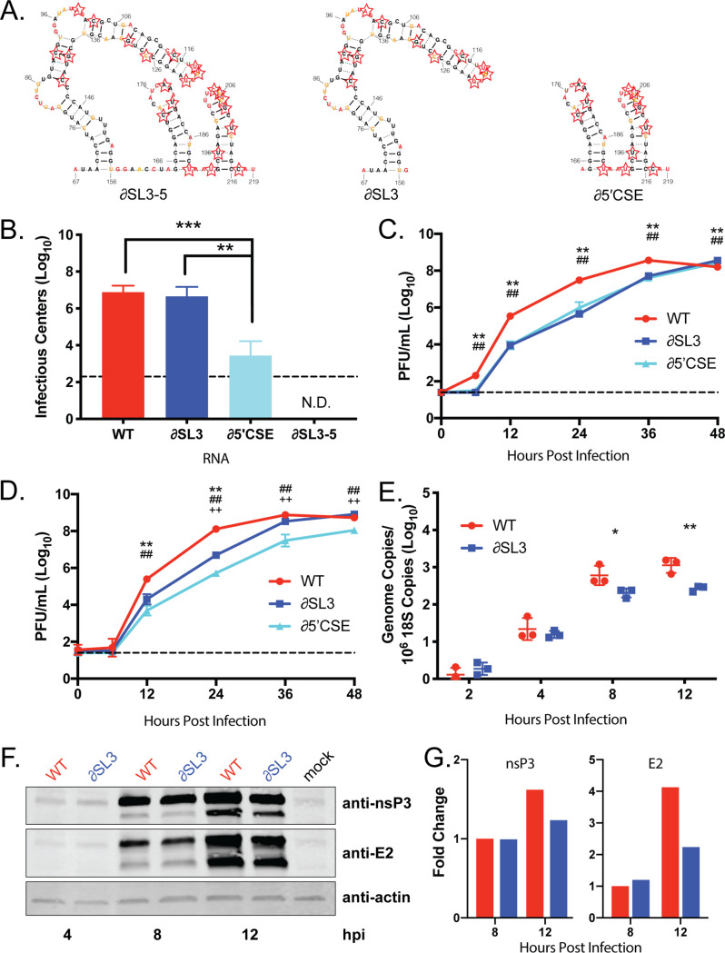 FIG 3