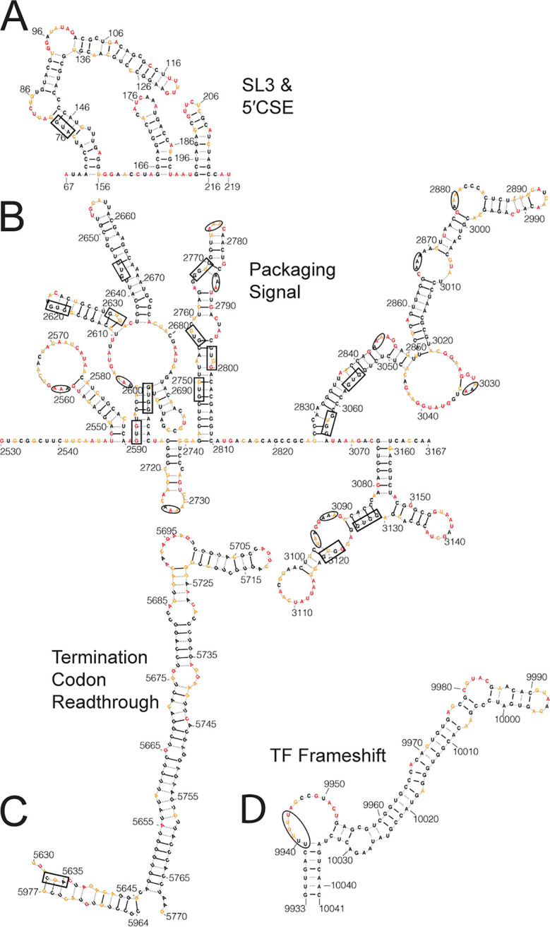 FIG 2