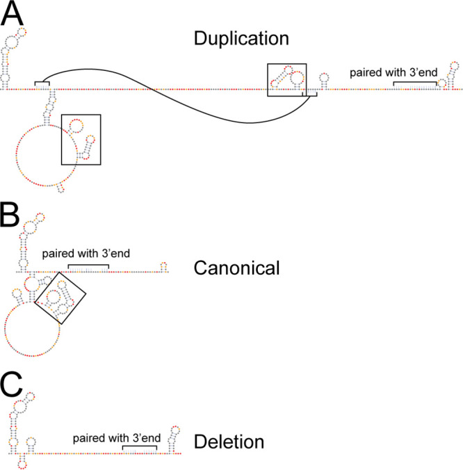 FIG 8