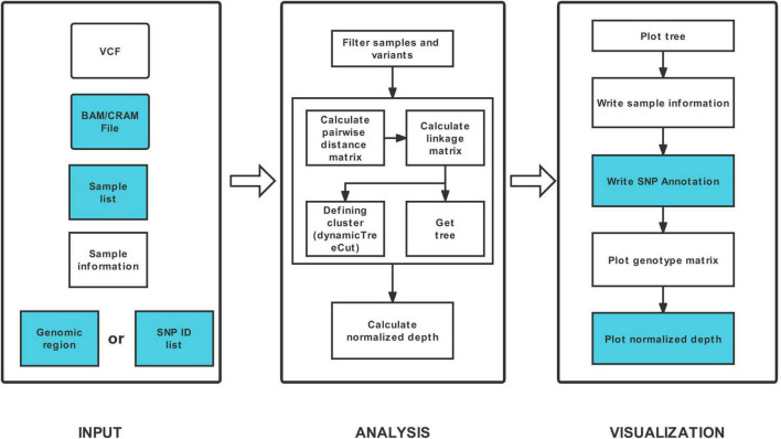 FIGURE 1