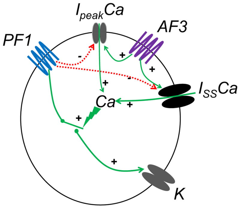 Fig. 10