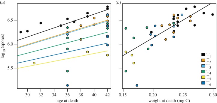 Figure 3.