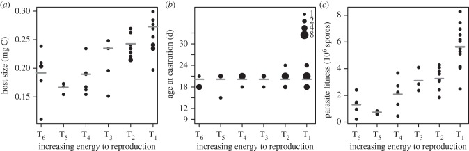 Figure 5.