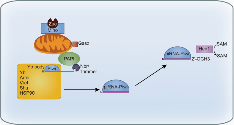 Fig. 2