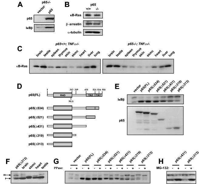 FIG. 5.