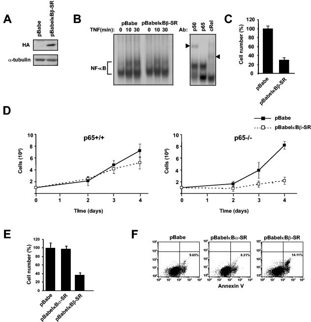 FIG. 6.