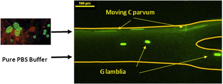 Figure 10