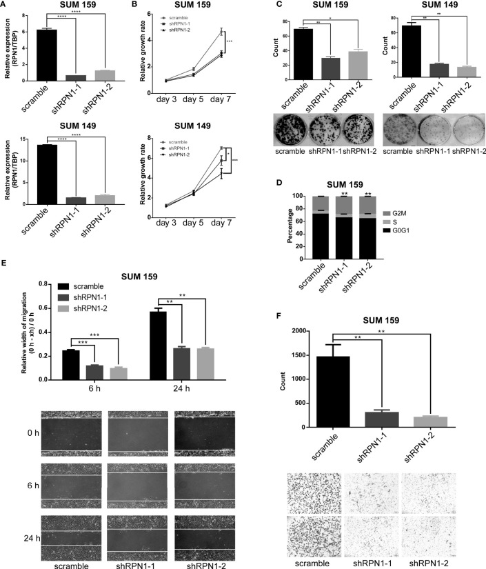 Figure 7