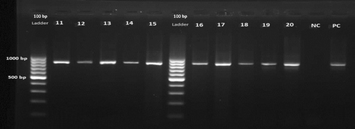 Fig. 3