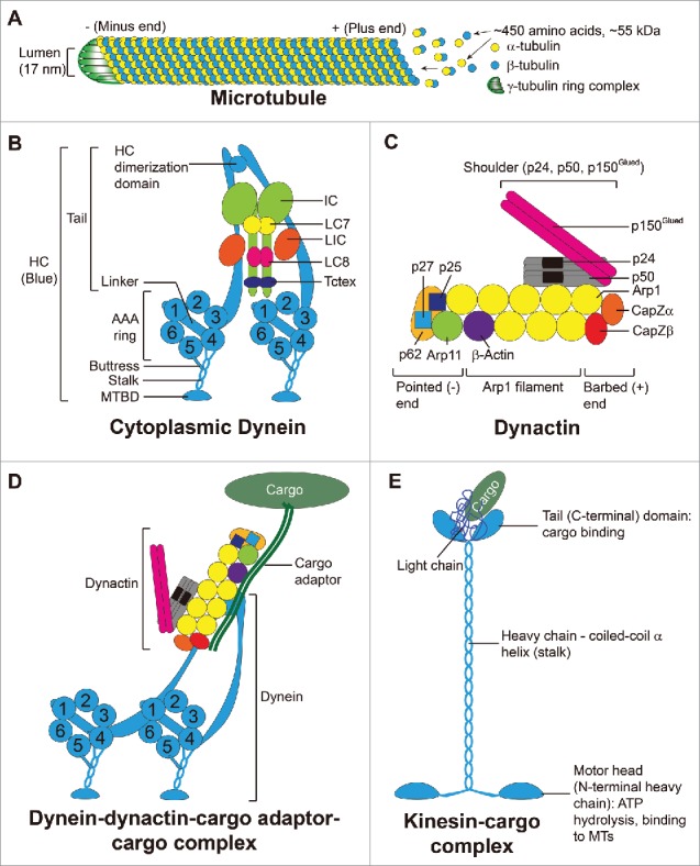 Figure 1.