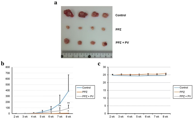 Fig. 6