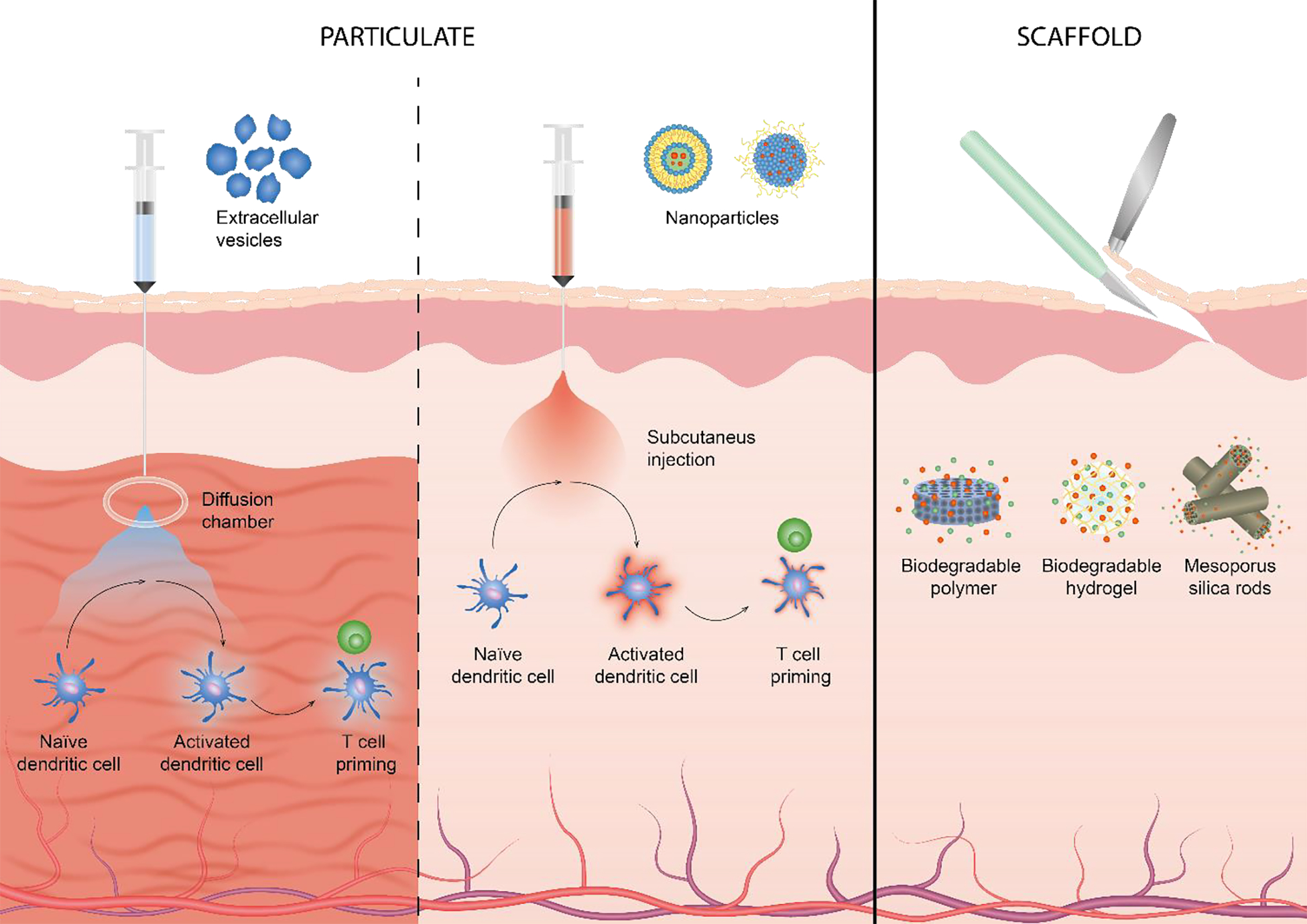 Figure 2: