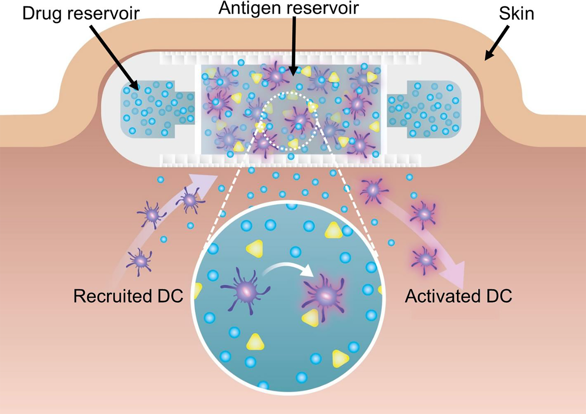 Figure 3: