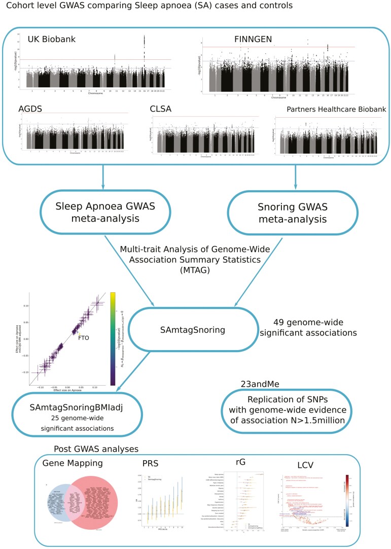 Graphical Abstract