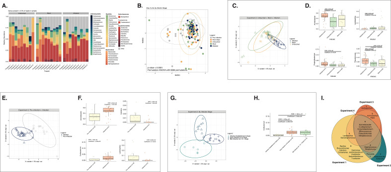 A collage of scientific data visuals including a relative abundance bar chart, NMDS plots by infection stage, PCA plot, boxplots for taxa differences, and a Venn diagram of shared genera across experiments.