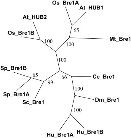 Figure 6.