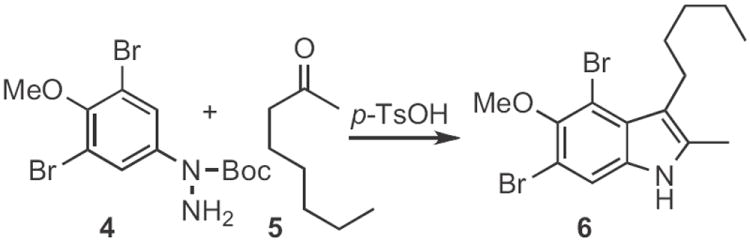 Scheme 2