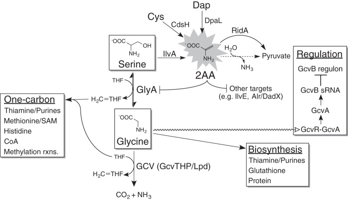 FIG 1