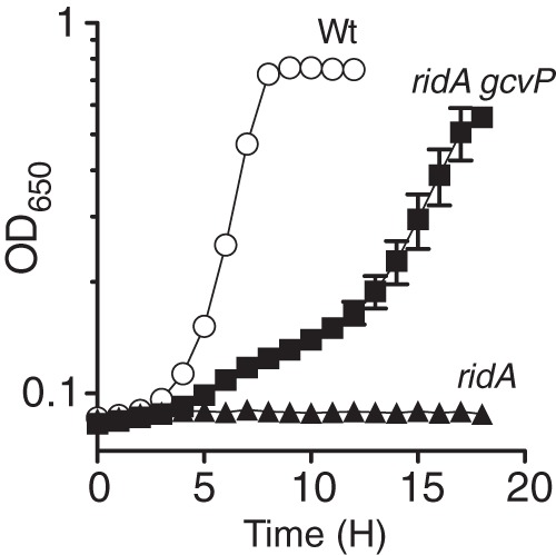 FIG 4