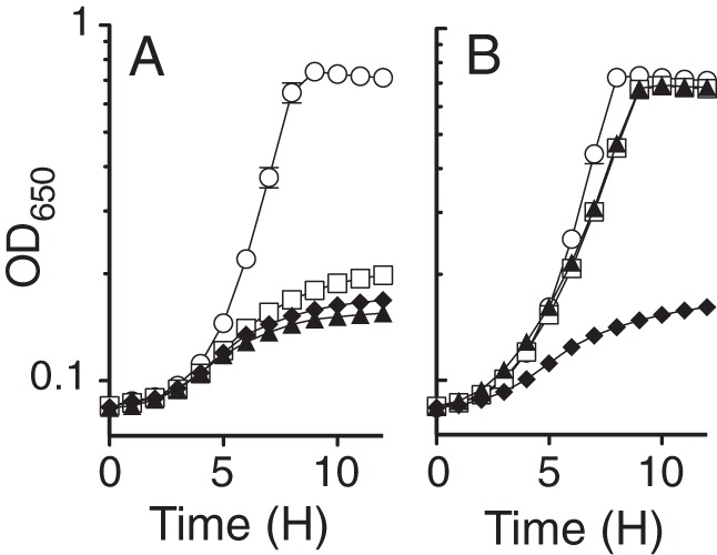 FIG 6