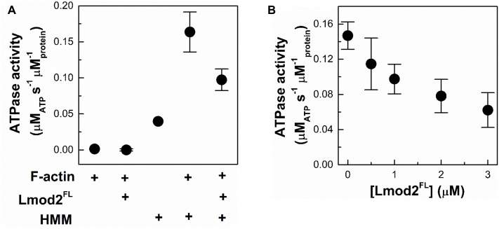 Fig 7