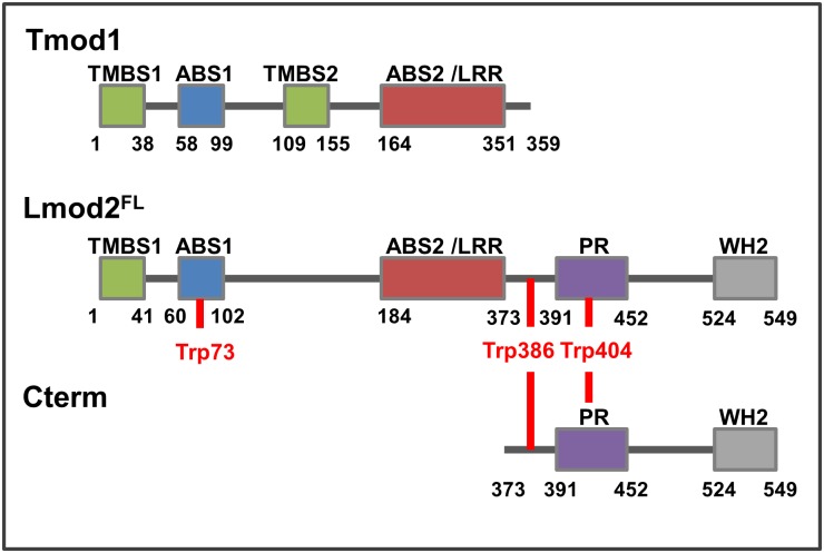 Fig 1