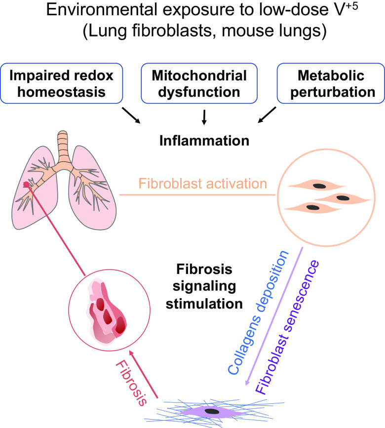 Figure 11.