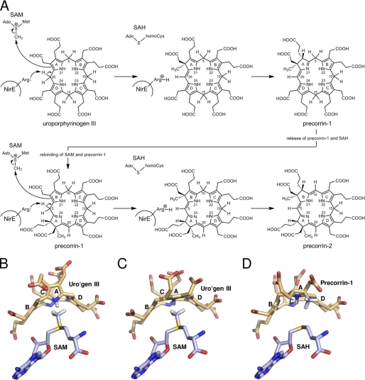 FIGURE 7.