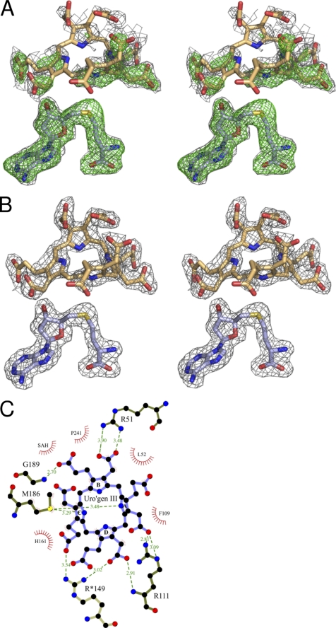 FIGURE 4.