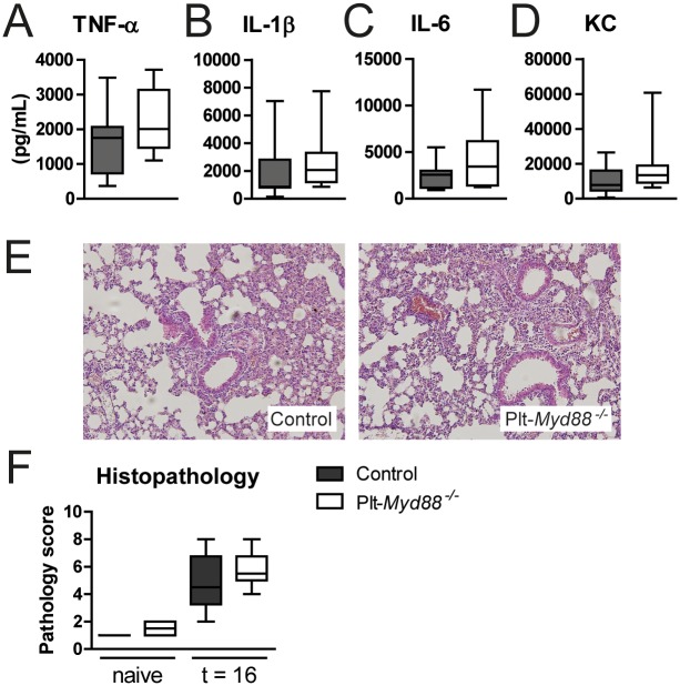 Fig 8