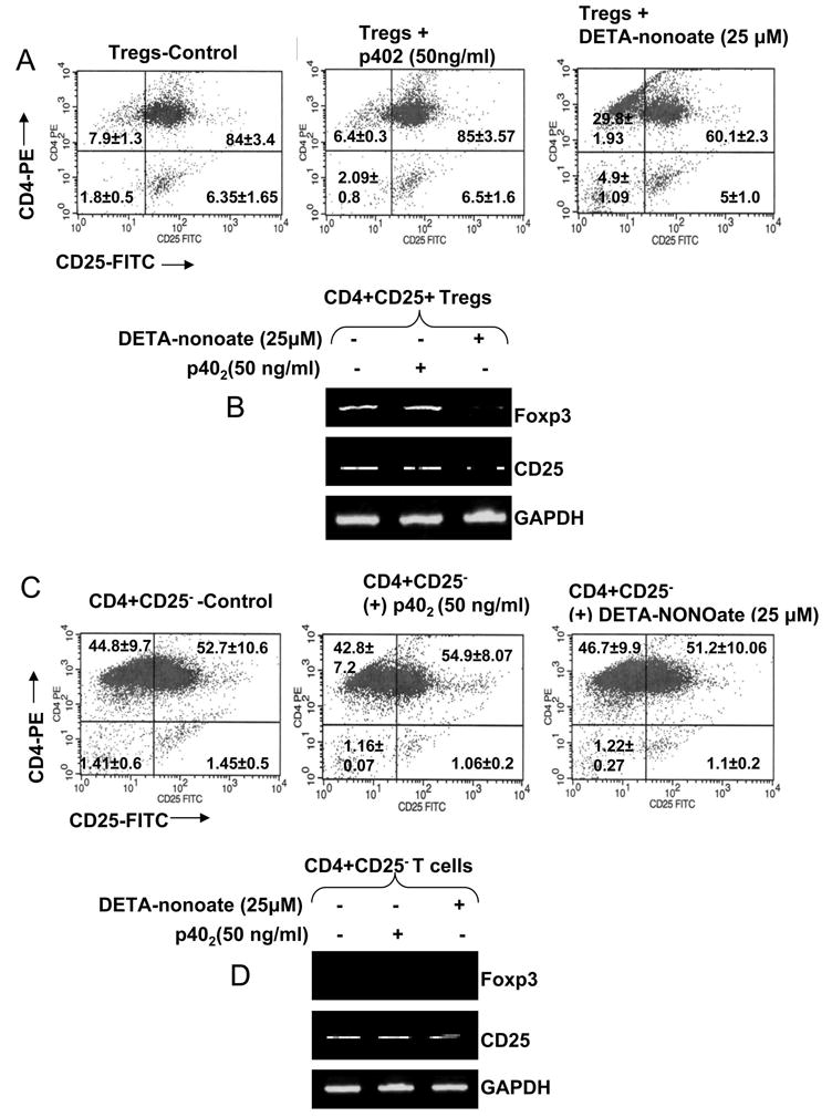 Fig. 11