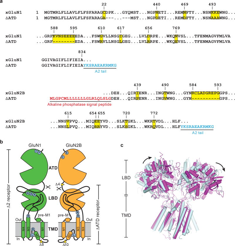 Extended Data Figure 1