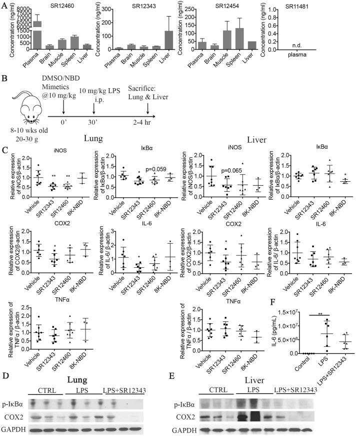 Fig 6