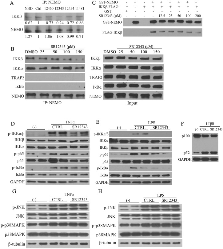 Fig 5