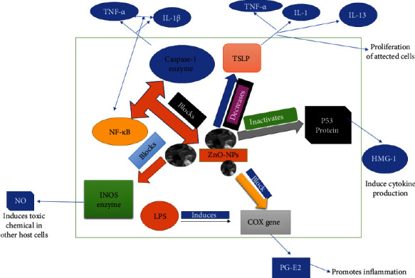 Figure 11