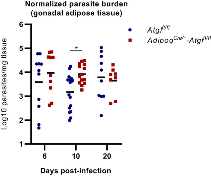 Extended Data Fig. 8